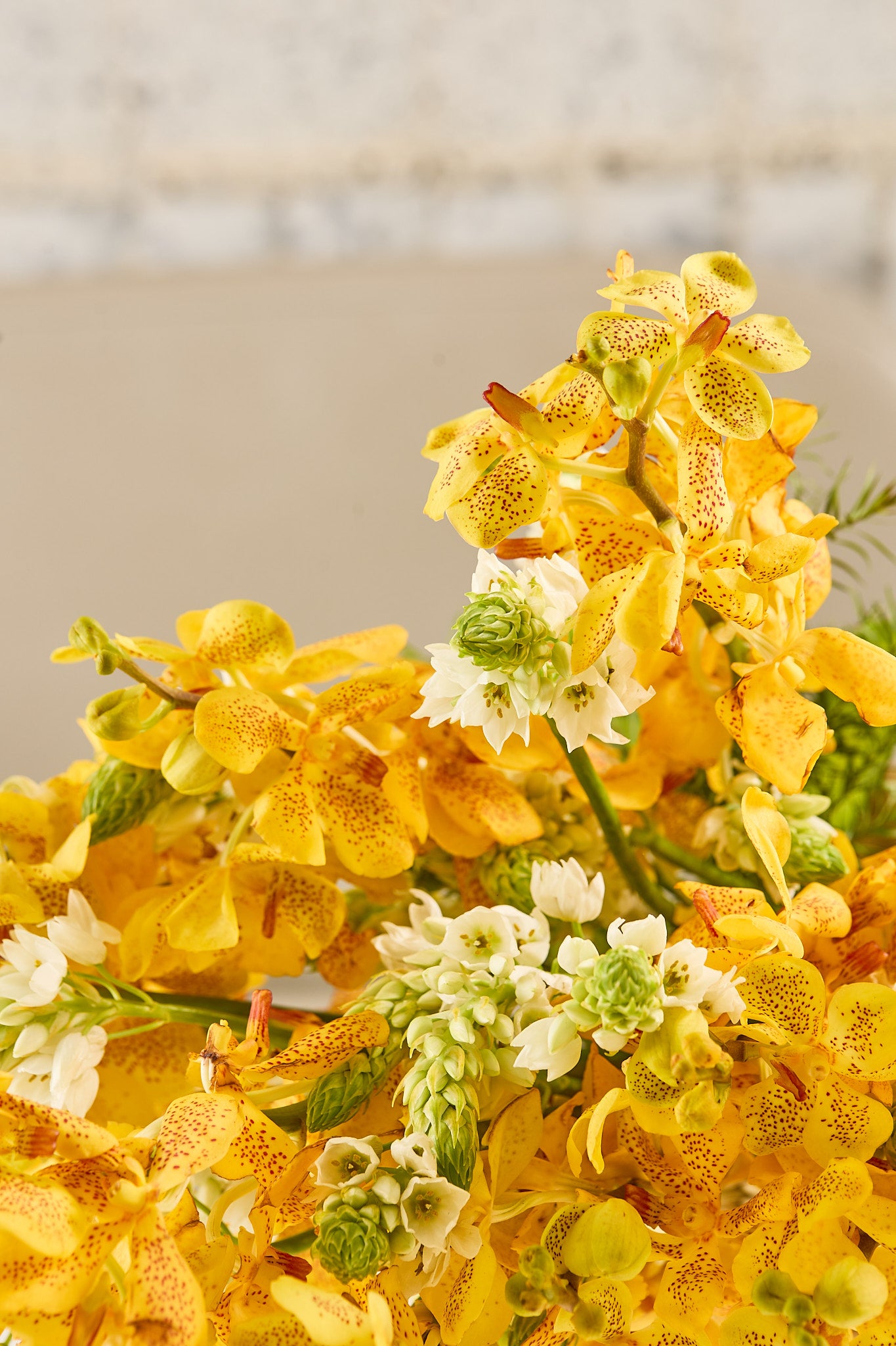 Orchid & tea cake gift hamper - Mahua Floral Studio