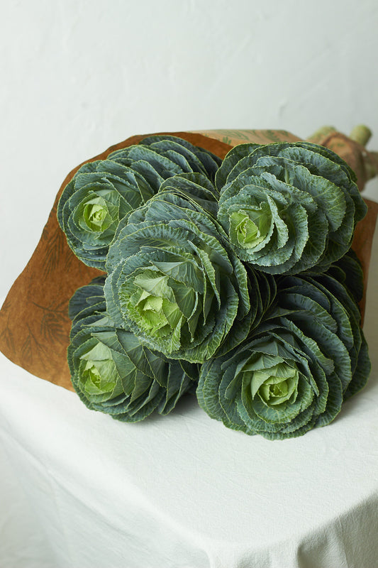 Green Brassica