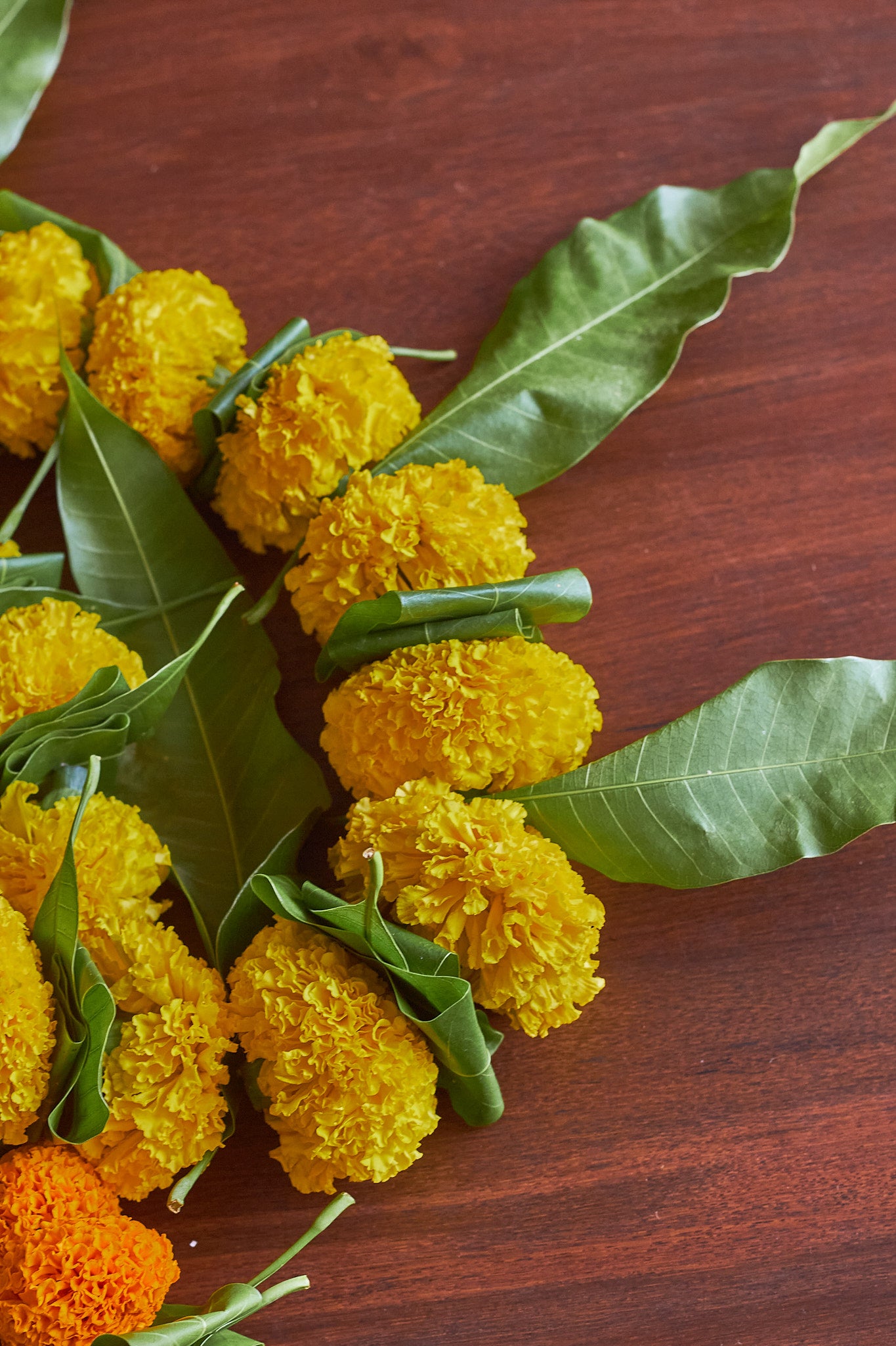 Buy Yellow Ambapala Toran by  Mahua Floral Studio.