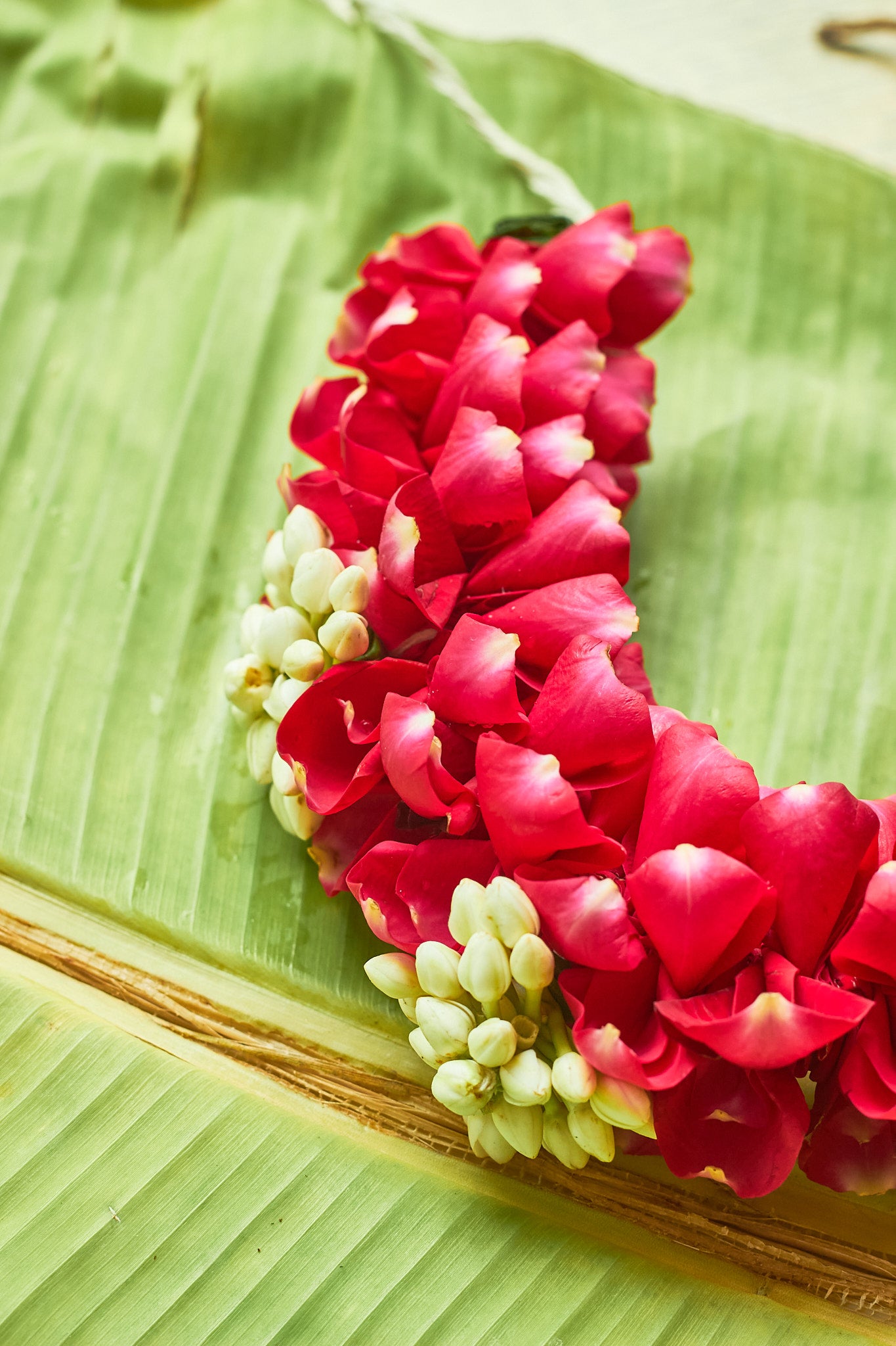 Gulabi Gajra - Mahua Floral Studio