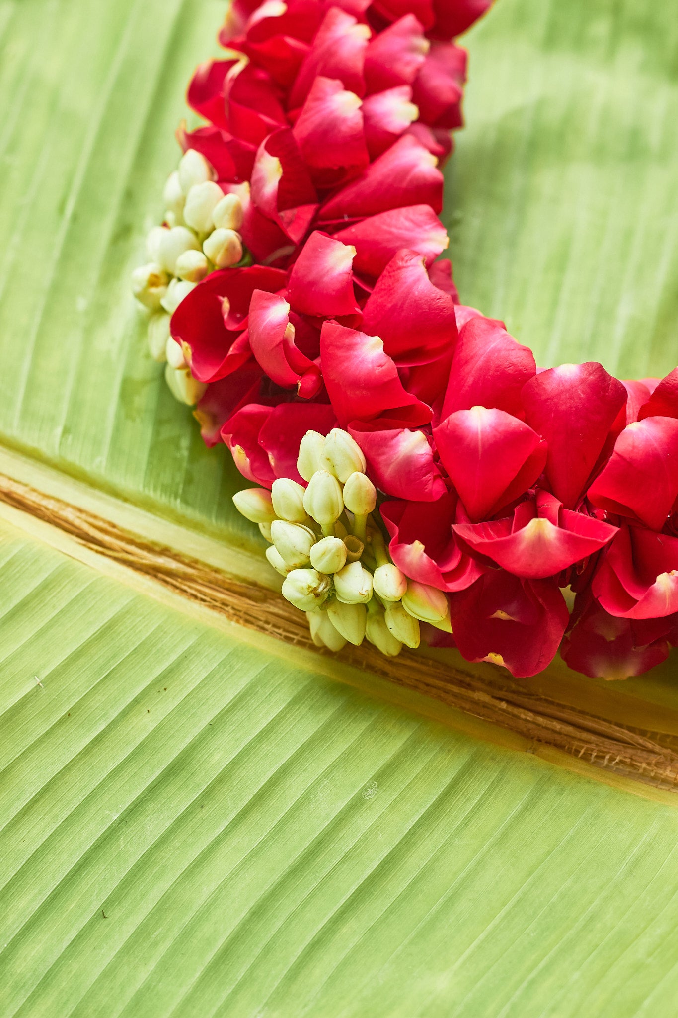 Gulabi Gajra - Mahua Floral Studio