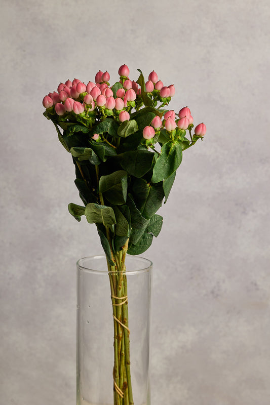 Hypericum Pink Berries - Mahua Floral Studio