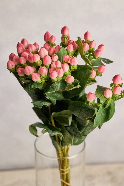 Hypericum Pink Berries - Mahua Floral Studio