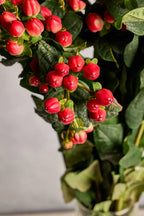 Hypericum red berries and green leaves on a white background