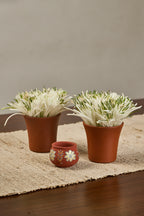 Water Lilly in Kulhads - Mahua Floral Studio