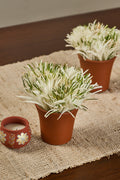Water Lilly in Kulhads - Mahua Floral Studio