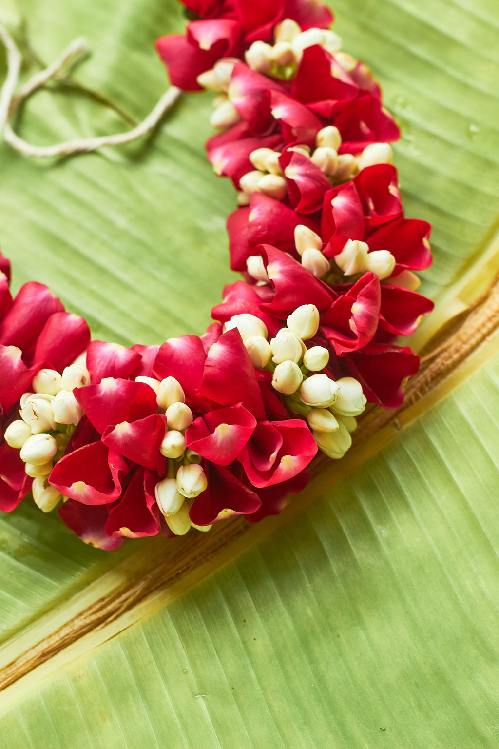 Made in Heaven Gajra - Mahua Floral Studio