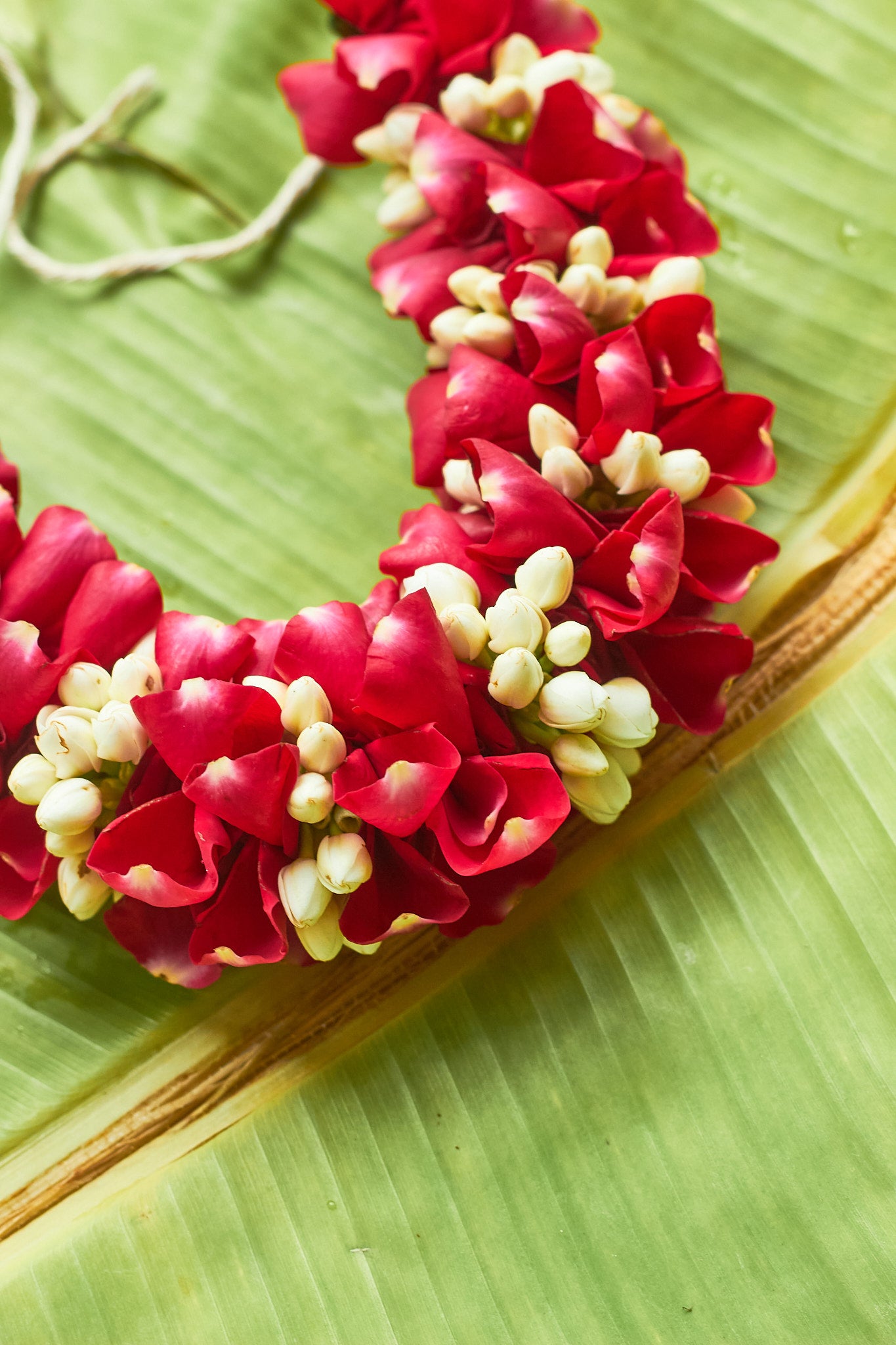 Made in Heaven Gajra - Mahua Floral Studio