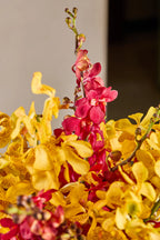 Orchid Delight Basket - Mahua Floral Studio