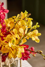 Orchid Delight Basket - Mahua Floral Studio