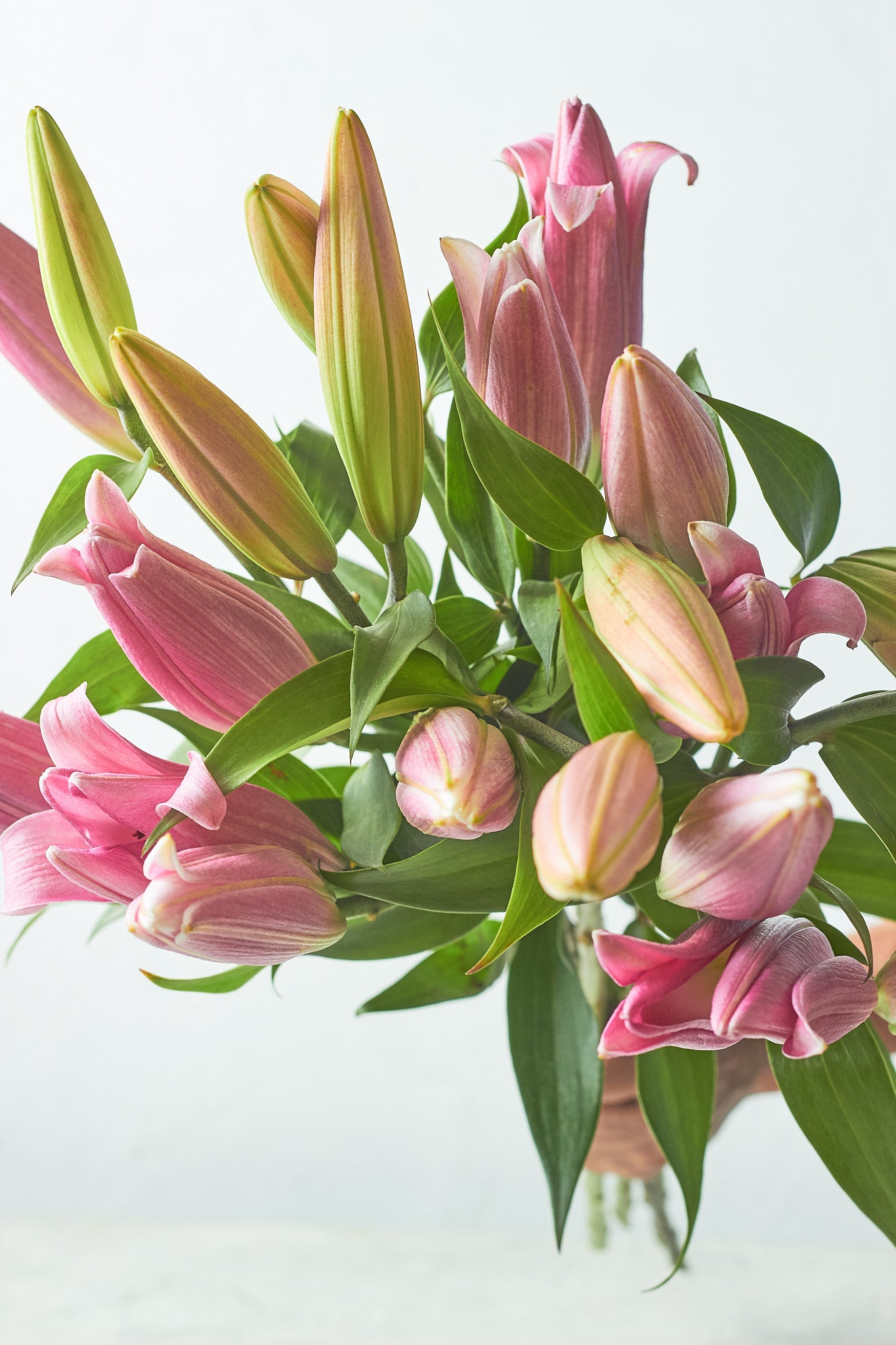 Buy Oriental lilies by  Mahua Floral Studio.