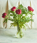 Peonies Please - Mahua Floral Studio