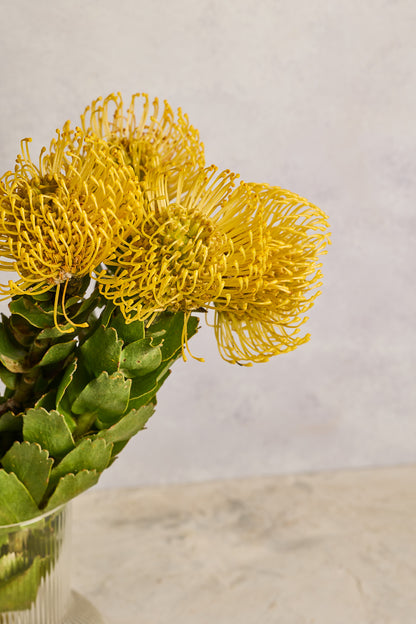 Pin Cushion - Yellow - Mahua Floral Studio