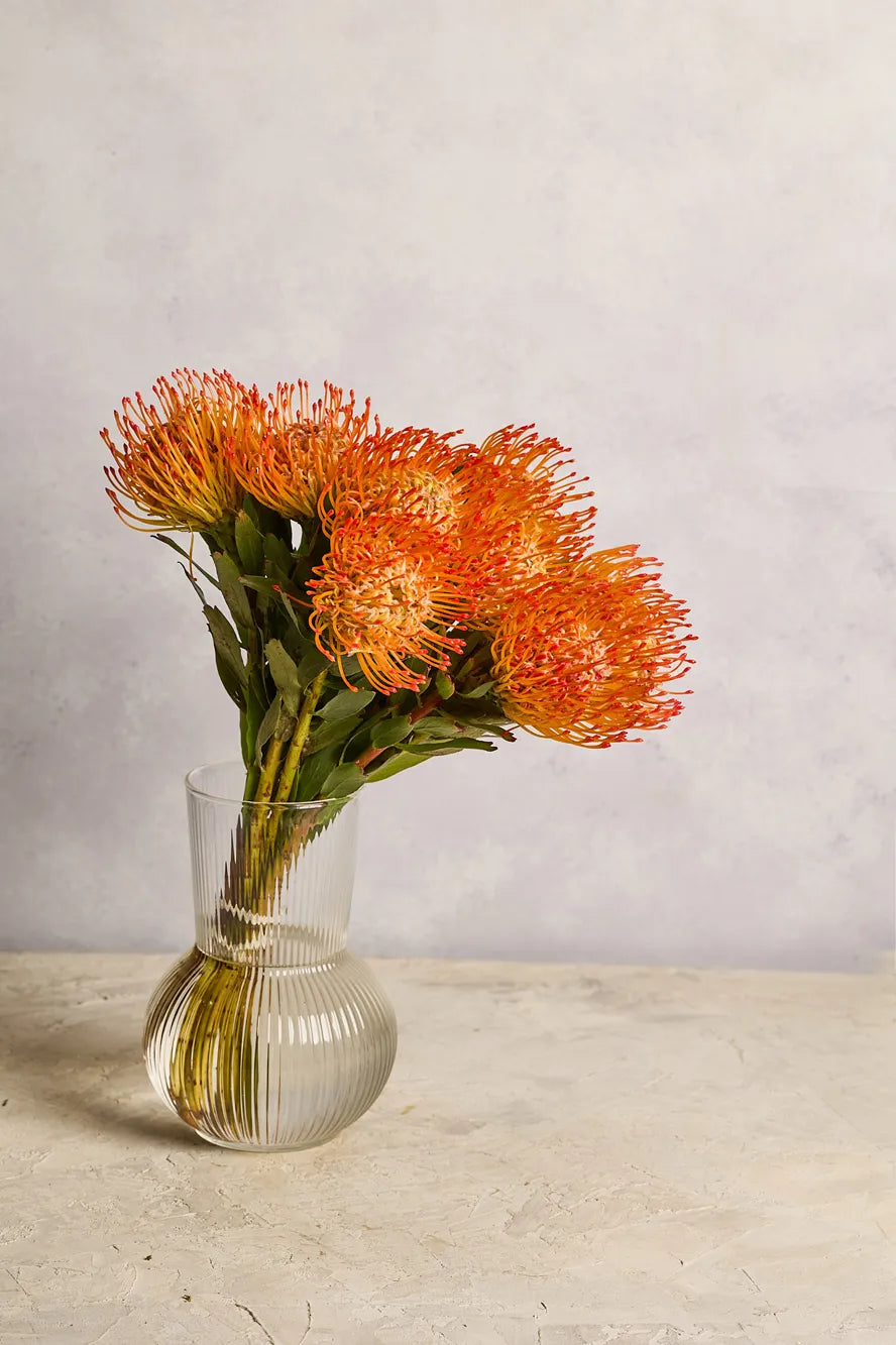 Vase with orange pincushion on a light surface and gray background