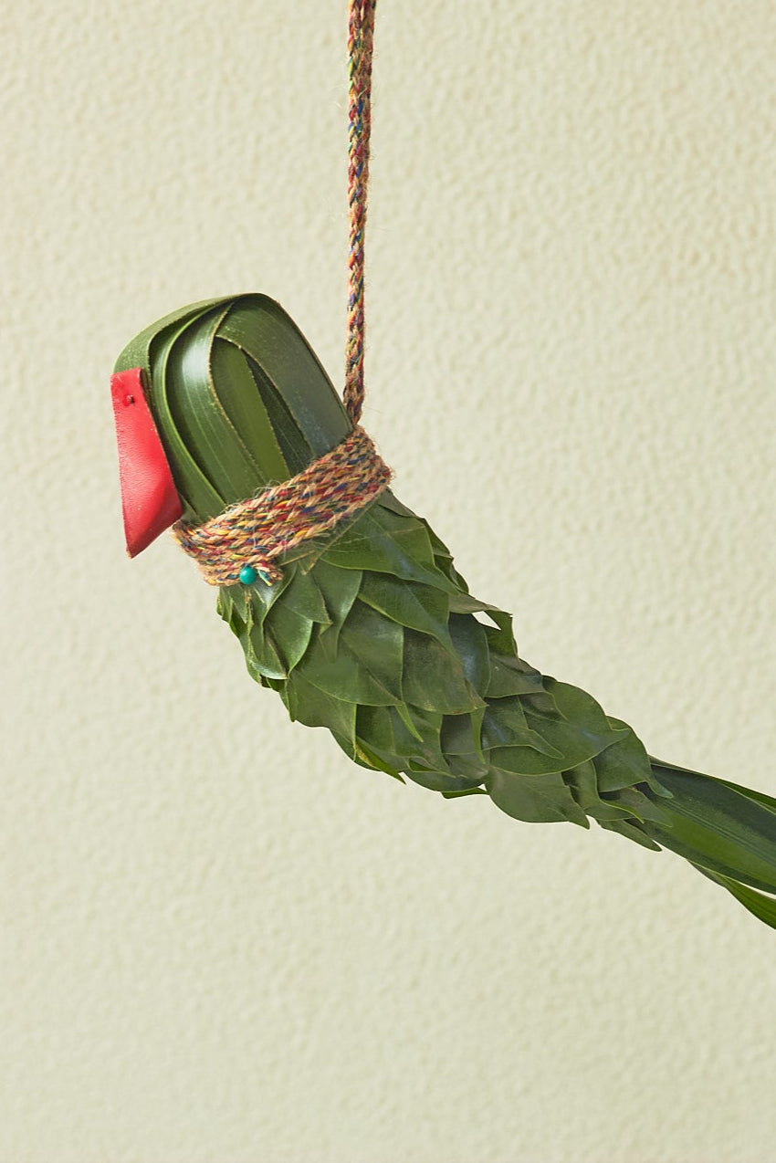 Pyaara Tota - Mahua Floral Studio