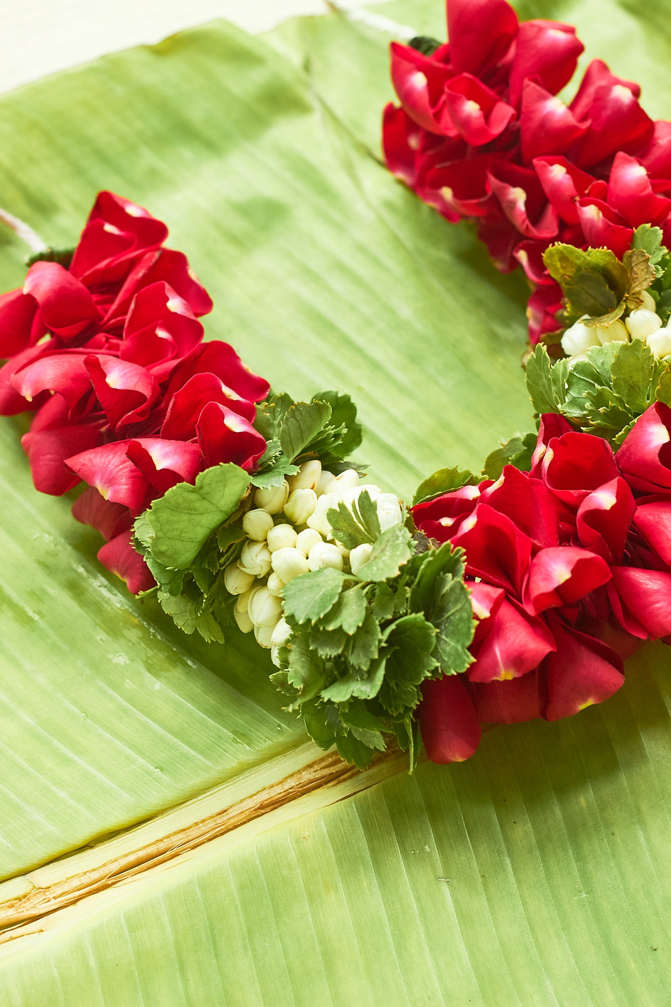 Pyaari-Dulari-Mahua Floral Studio-A wreath of red and green flowers with white accents, designed to be worn at a wedding.
