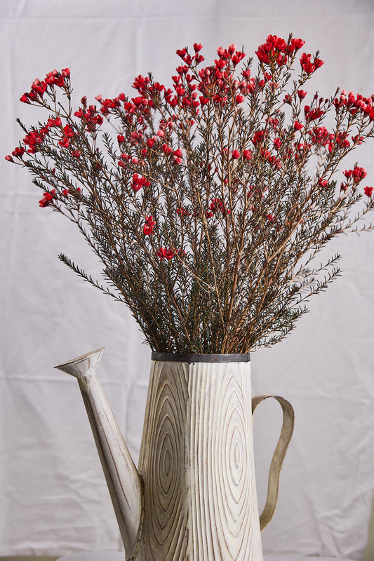 Wax Flowers - Red - Mahua Floral Studio
