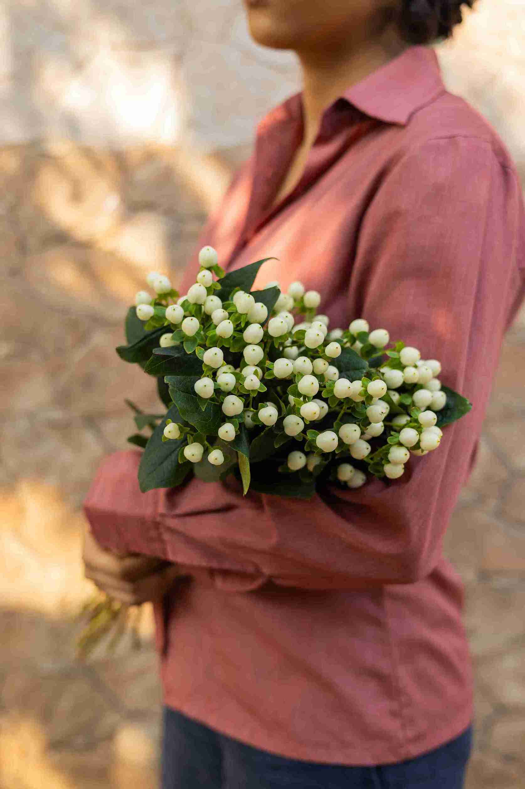 Hypericum Berries - Mahua Floral Studio
