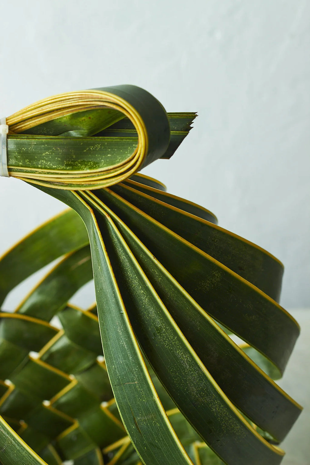 Bow Woven Leaf Basket - Mahua Floral Studio