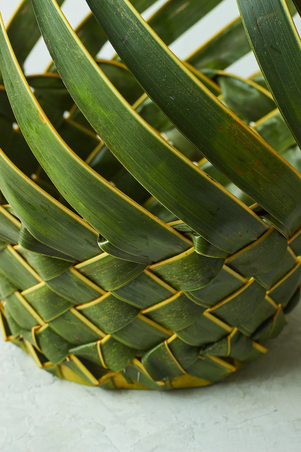 Bow Woven Leaf Basket - Mahua Floral Studio