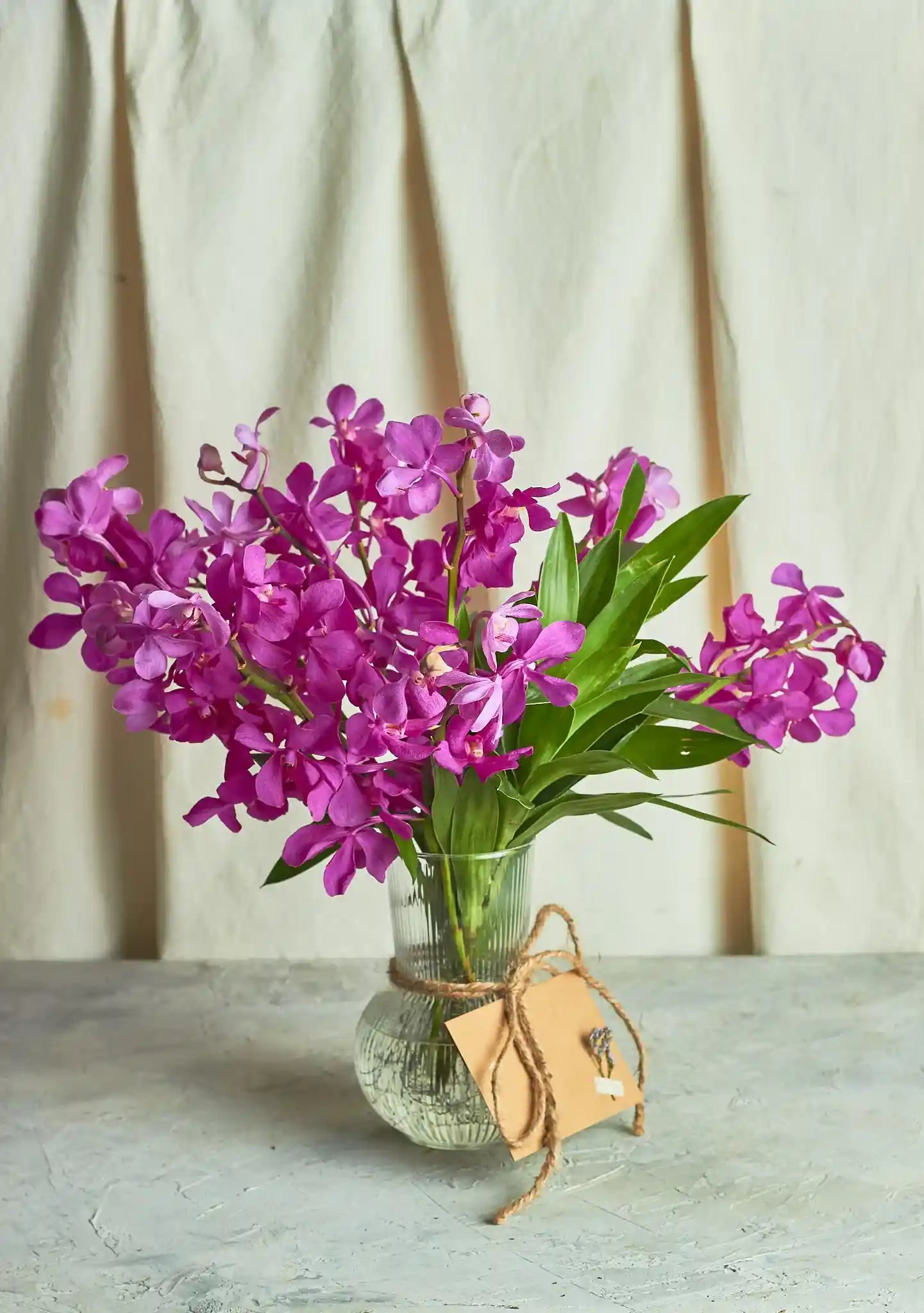 Majestic Mokara - Mahua Floral Studio