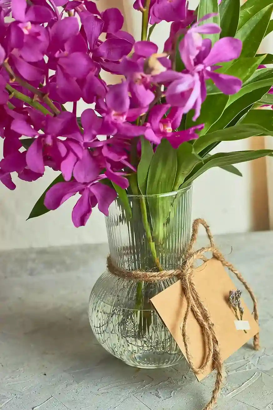 Majestic Mokara - Mahua Floral Studio