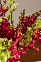 Melon - Mahua Floral Studio