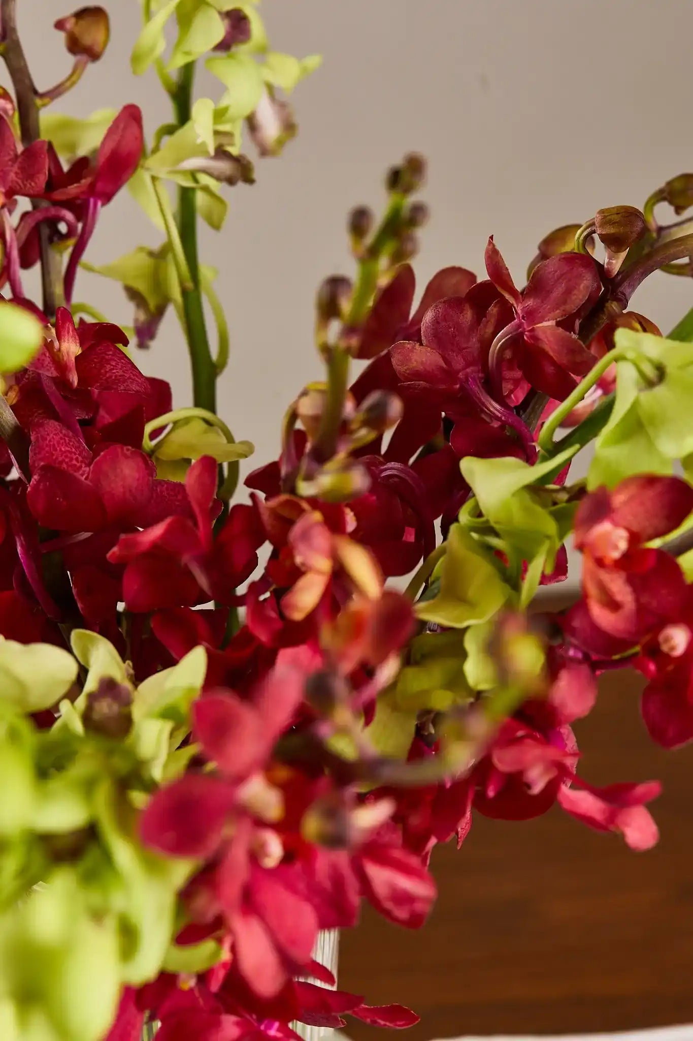 Melon - Mahua Floral Studio