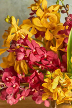 Mokara Delight - Mahua Floral Studio