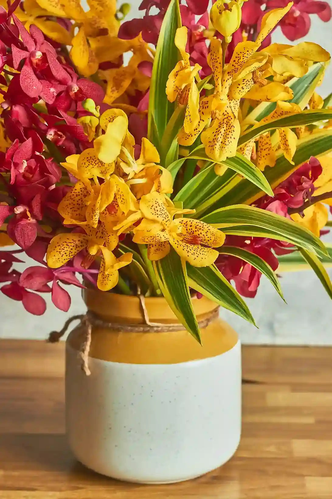 Mokara Delight - Mahua Floral Studio