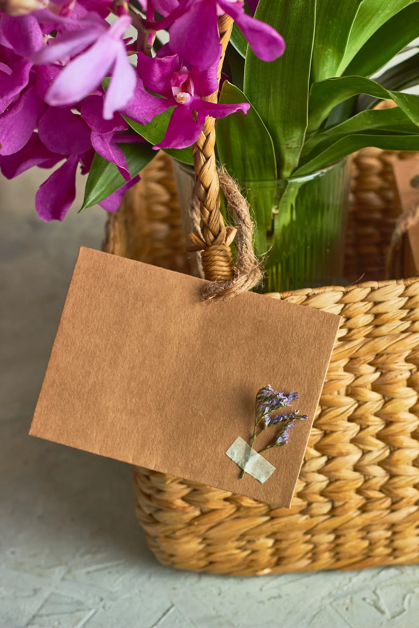 Orchids & Choco Almond Rocks Hamper - Mahua Floral Studio