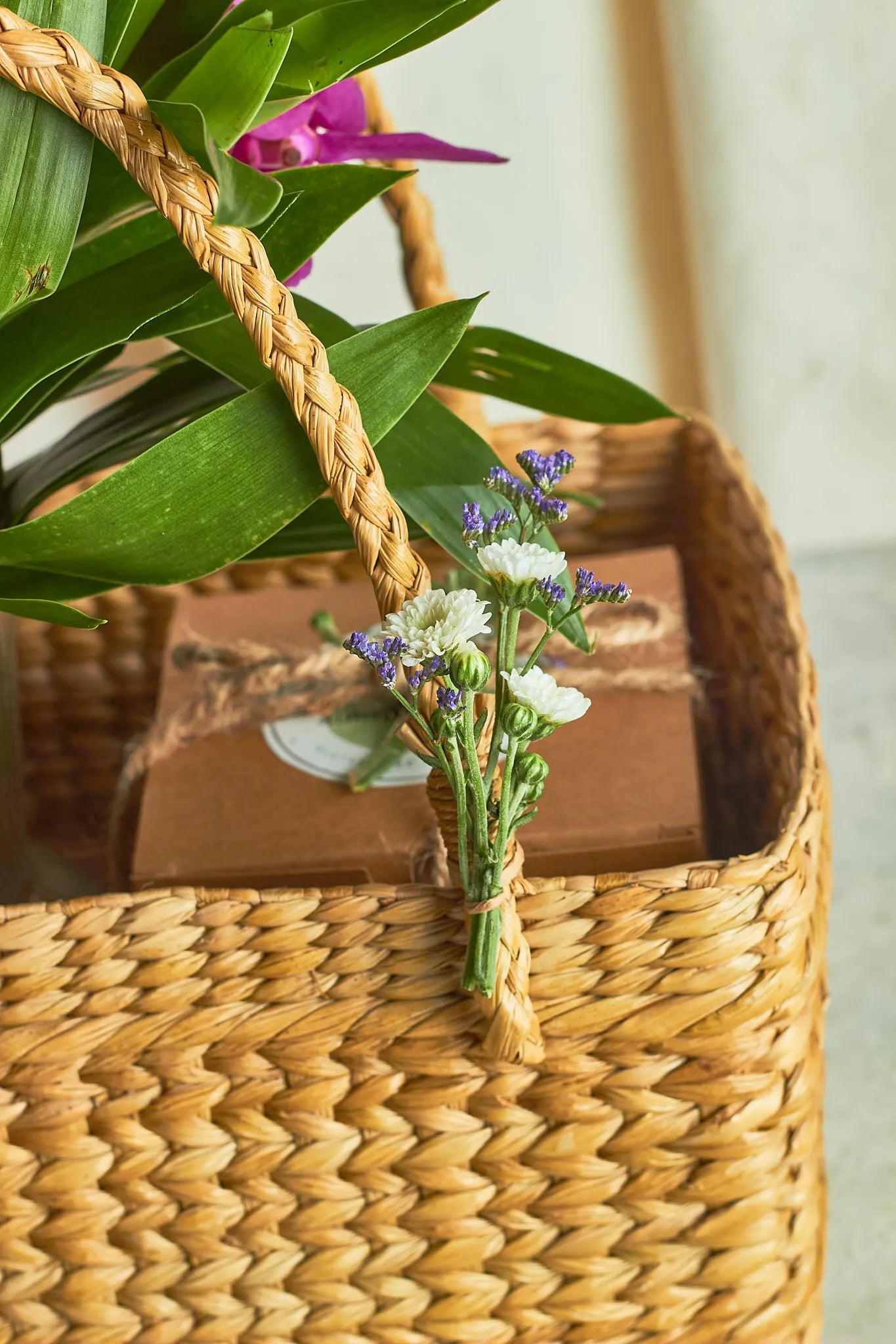 Orchids & Choco Almond Rocks Hamper - Mahua Floral Studio