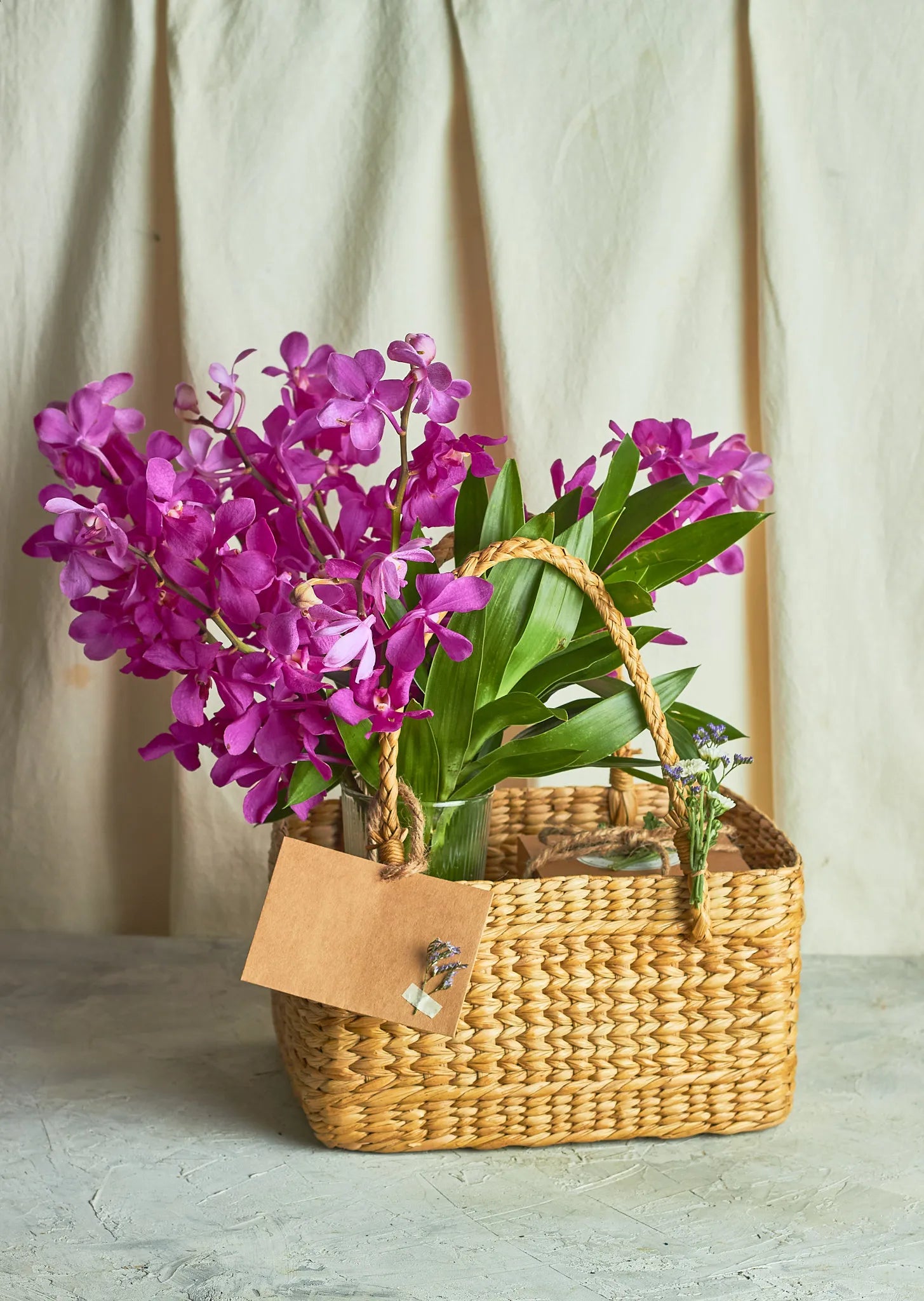 Orchids & Choco Almond Rocks Hamper - Mahua Floral Studio