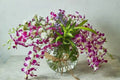 Orchids Galore - Mahua Floral Studio
