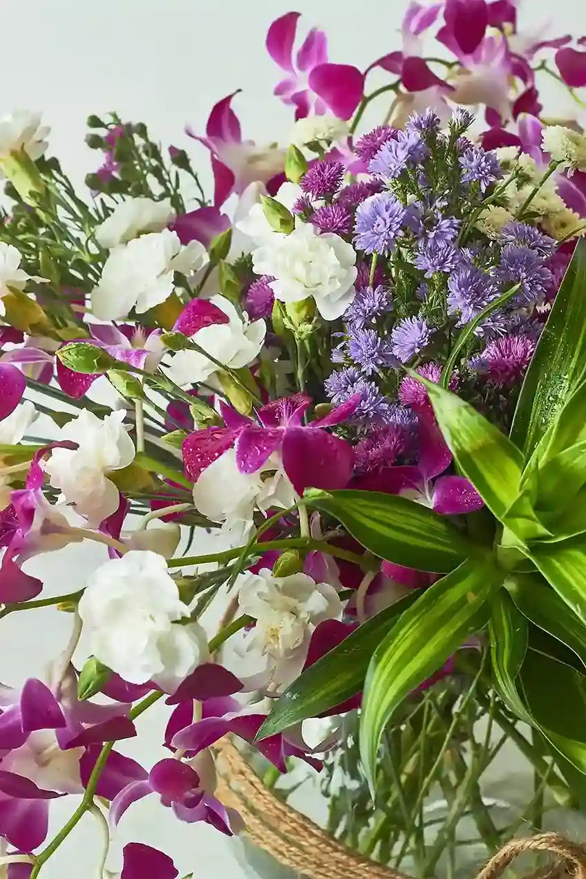 Orchids Galore - Mahua Floral Studio