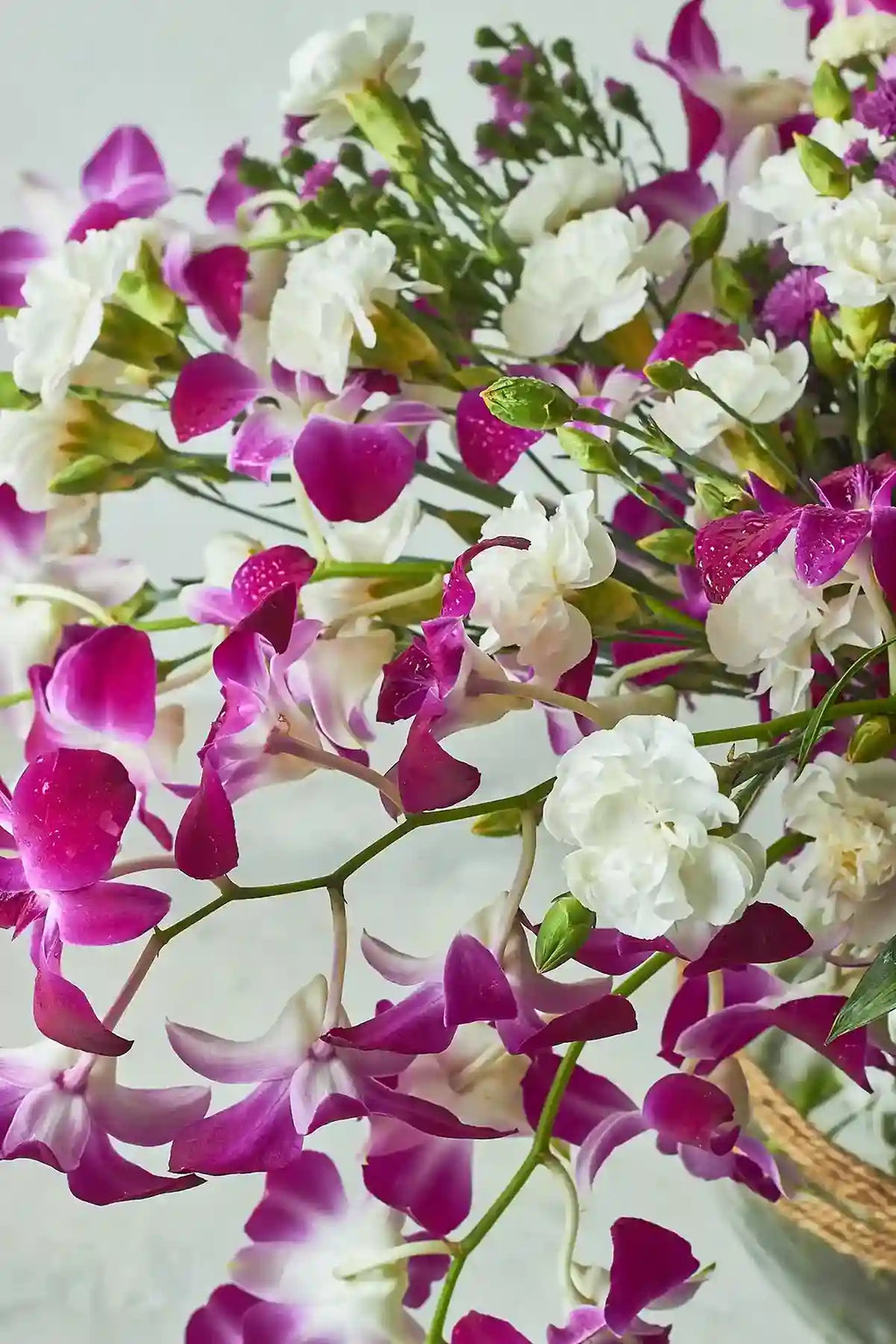 Orchids Galore - Mahua Floral Studio
