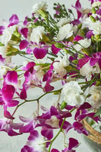 Orchids Galore - Mahua Floral Studio