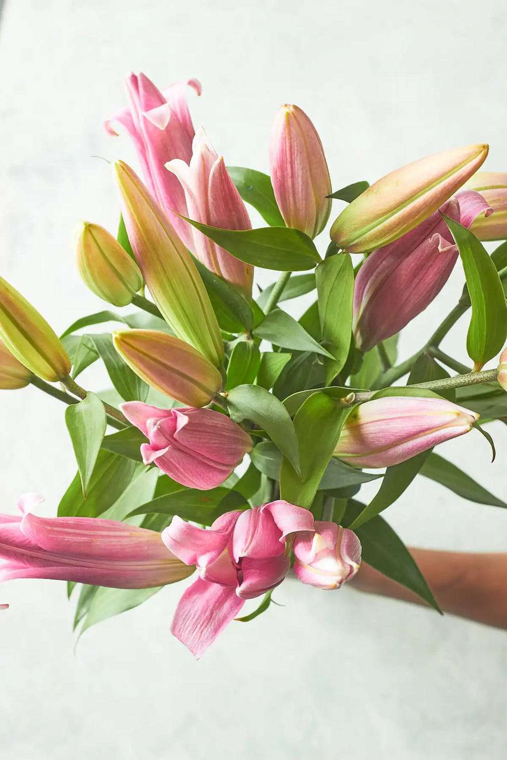 Oriental lilies - Mahua Floral Studio