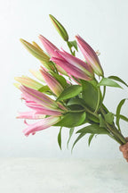 Oriental lilies - Mahua Floral Studio