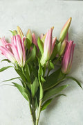 Oriental lilies - Mahua Floral Studio