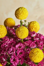 Pom-Pom Party - Mahua Floral Studio