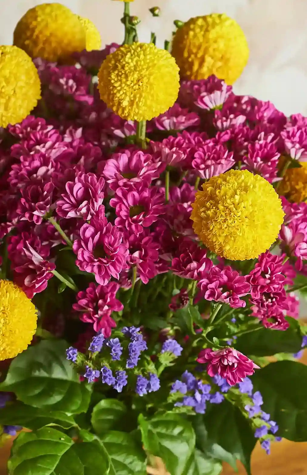 Pom-Pom Party - Mahua Floral Studio