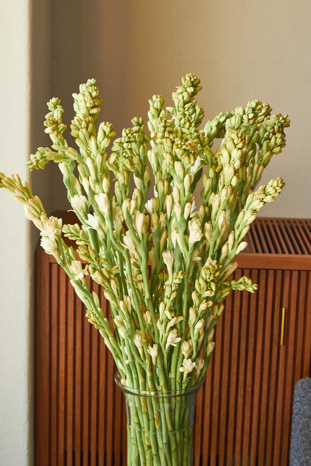 Rajnigandhas (Tuberose) - Mahua Floral Studio