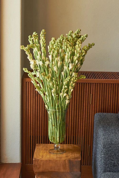 Rajnigandhas (Tuberose) - Mahua Floral Studio