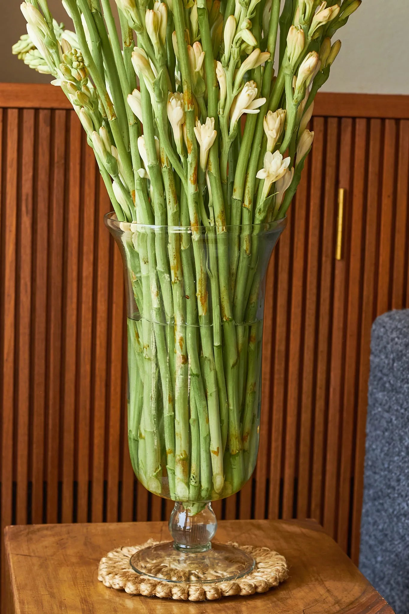 Rajnigandhas (Tuberose) - Mahua Floral Studio