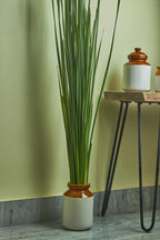 Rambaan - Mahua Floral Studio