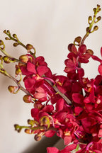 Mokara Orchids - Mahua Floral Studio