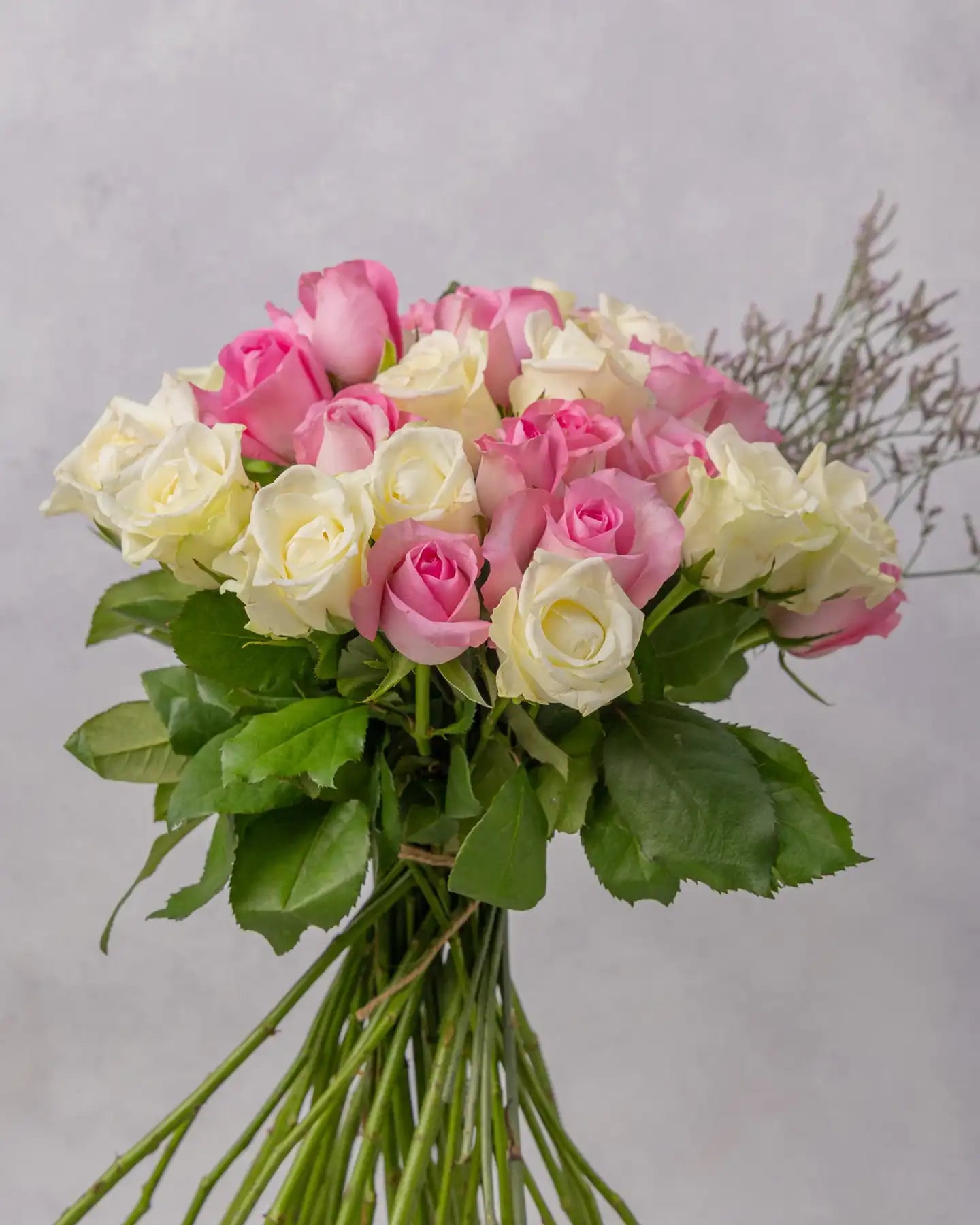 Bouquet of pink and white roses on a gray background