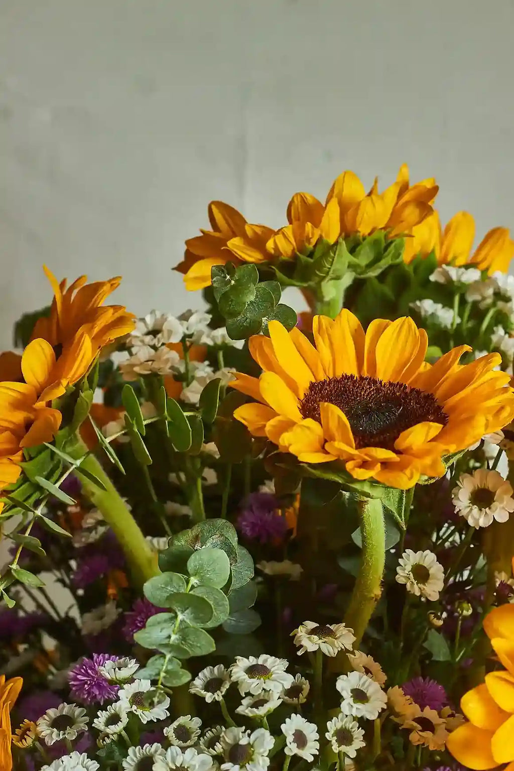 Sunflower fields - Mahua Floral Studio