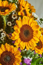 Sunflower fields - Mahua Floral Studio